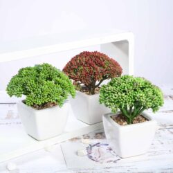 Efavormart Set of 3 | 6” Assorted Autumn Joy Sedum Artificial Faux Succulent