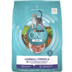 Purina ONE Advanced Nutrition Hairball Formula Dry Cat Food
