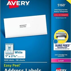 Avery 5160 Easy Peel Address Labels , White, 1 x 2-5/8 Inch, 3,000 Count (Pack of 1)