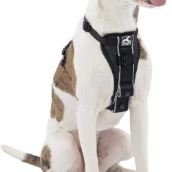 Kurgo Dog Harness | Pet Walking Harness | Medium | Black | No Pull Harness Front Clip Feature for Training Included | Car Seat Belt | Tru-Fit Quick Release Style