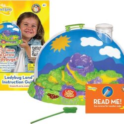 Insect Lore Live Ladybug Growing Kit Toy -unisex-children Original Ladybug Land