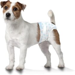 Four Paws Wee-Wee Disposable Dog Diapers Small (36 Count)