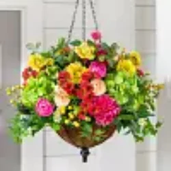 Outdoor Vivid Blooms Foliage