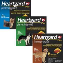 Heartgard Plus and NexGard Chewables