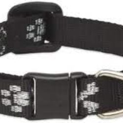 LupinePet Originals 1/2″ Tail Feathers Cat Safety Collar , 8-12″