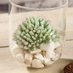 Efavormart Set of 3 | 4″ Assorted Jelly Bean Artificial Faux Succulent Plants Mini Green Plants